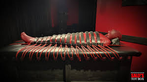 Sally’s Toy Box – Premium Adult Bondage & Fetish Gear Store